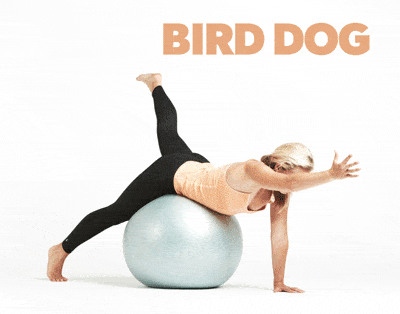 the-bird-dog-exercise-with-woman