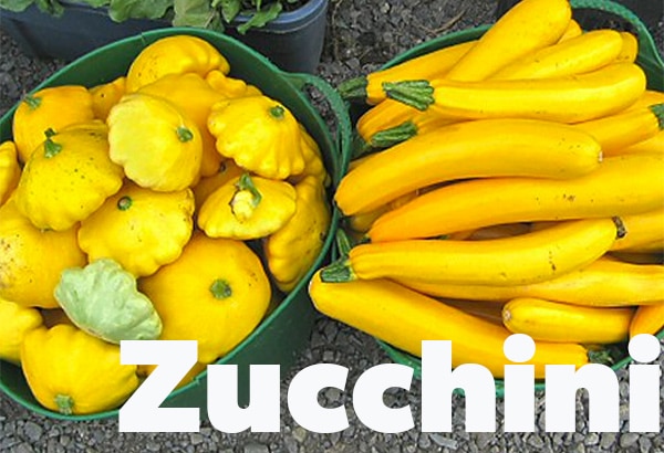 zucchini-600x400