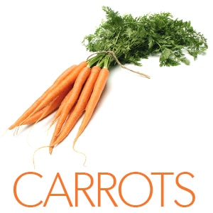 carrots-zero-calorie