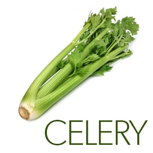 celery-zero-calorie