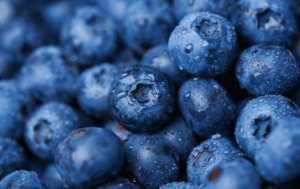 blueberries close