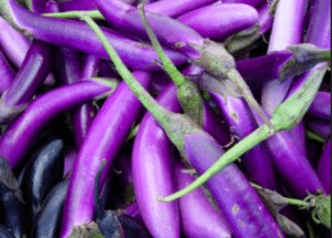 Look at these gorgeous eggplants!
