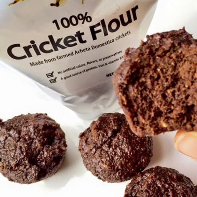 cricket-flour-brownie