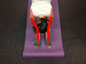 plank-good-from-top-shoulder-lines