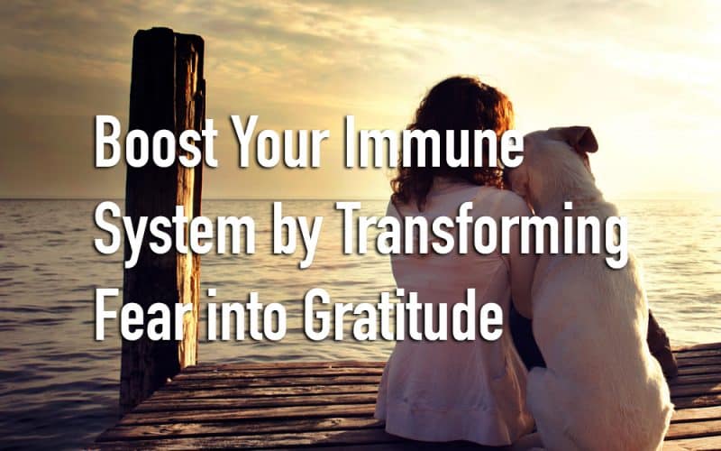 Boost Your Immune System by Transforming Fear into Gratitude