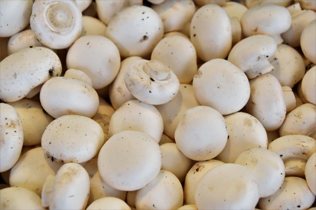 Close up of button mushroom anti inflammation diet