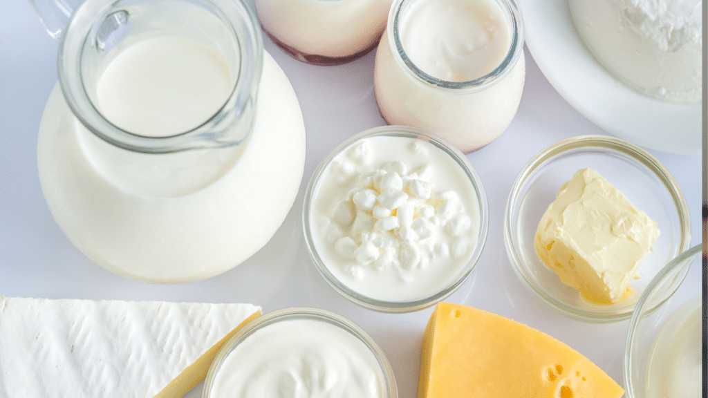 Top view of dairy products - milk, yogurt, cottage cheese, butter and hard cheeses