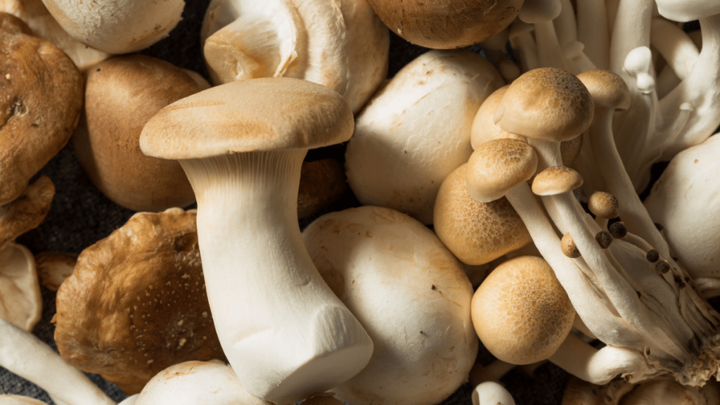 Assorted mushrooms for weight loss 