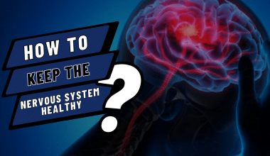 How To Keep the Nervous System Healthy