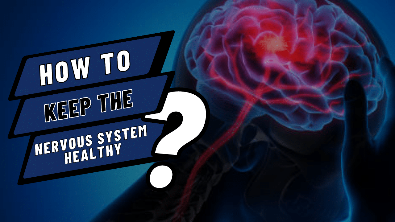 How To Keep the Nervous System Healthy