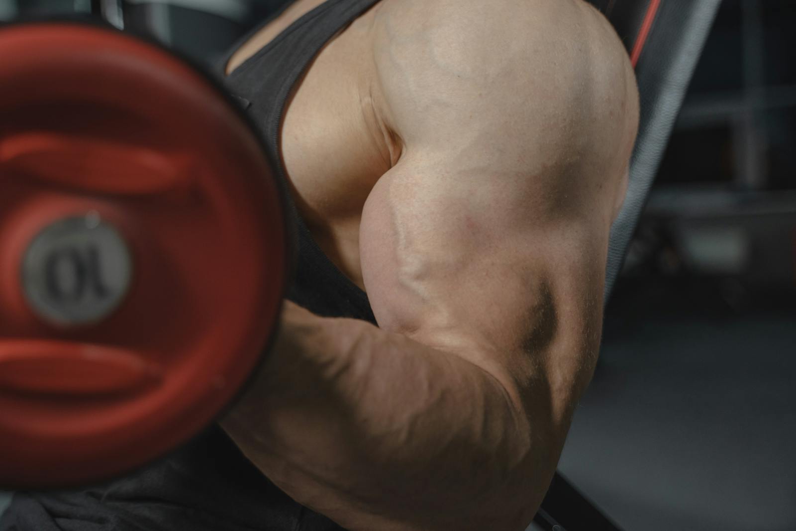 Bicep curl peak